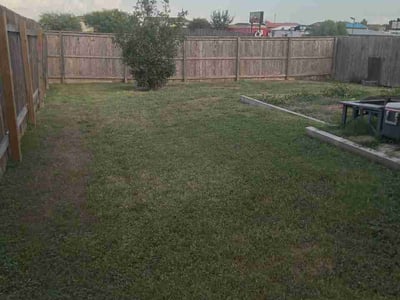 Lawn Care service in Buda, 78610