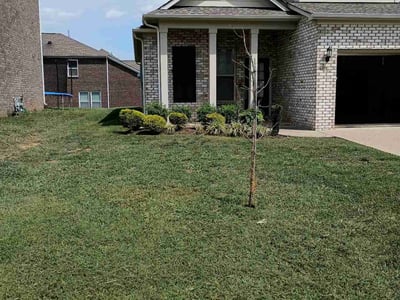 Lawn Care service in Murfreesboro, 37129