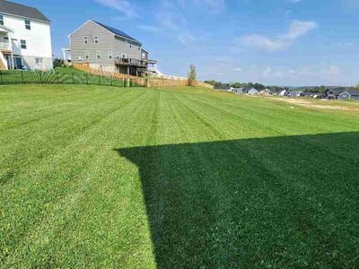Lawn Care service in Xenia, 45385