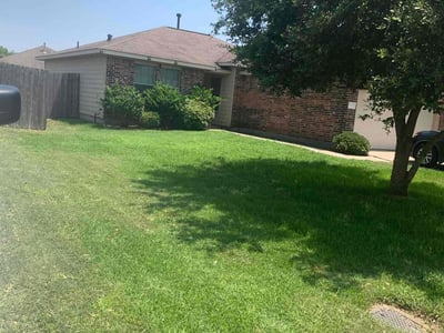Lawn Care service in Vista, 92083