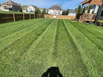 Lawn Care service in Xenia, 45385