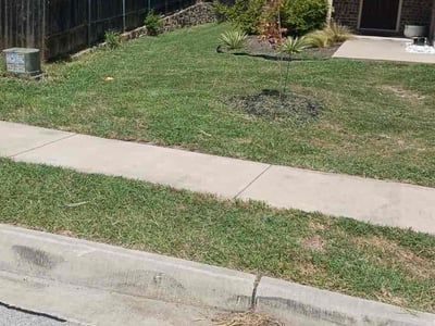 Lawn Care service in Dripping Springs, 78620