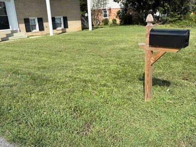 Lawn Care service in College Park, 20742