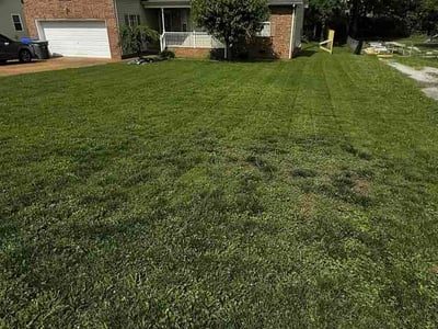 Lawn Care service in White House, 37188