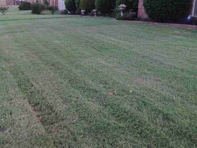 Lawn Care service in Rossville, 38066
