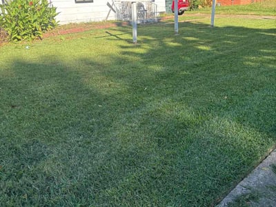 Lawn Care service in Rossville, 38066