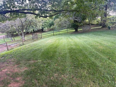 Lawn Care service in Damascus, 20872