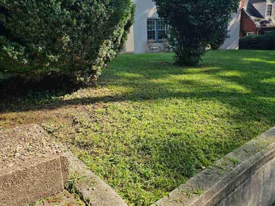 Lawn Care service in Charles Town, 25414