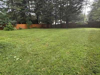 Lawn Care service in Damascus, 20872