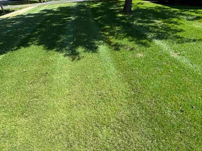 Lawn Care service in Damascus, 20872