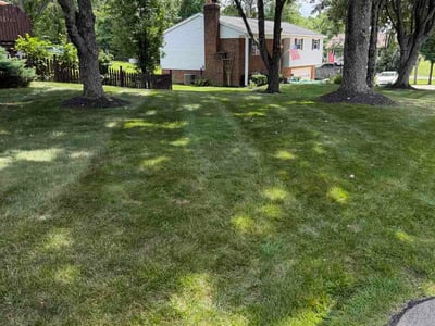 Lawn Care service in Milford, 45150