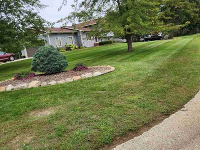 Lawn Care service in Oxford, 48371