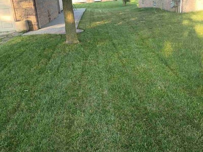 Lawn Care service in Oxford, 48371