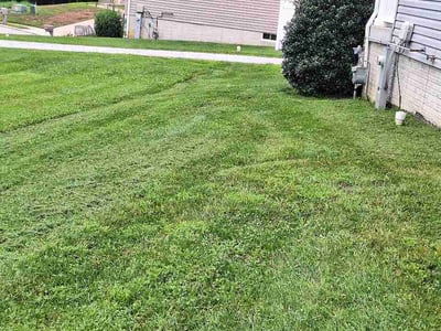 Lawn Care service in Damascus, 20872