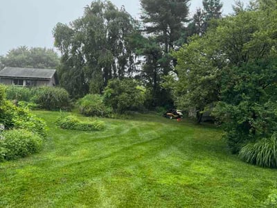 Lawn Care service in Damascus, 20872