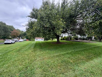 Lawn Care service in Forest Hill, 21050