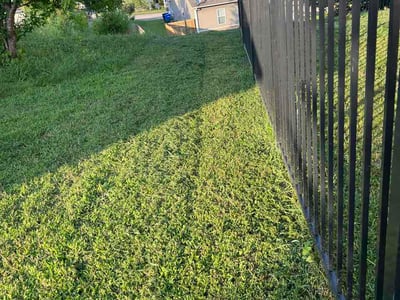 Lawn Care service in Columbia, 38401