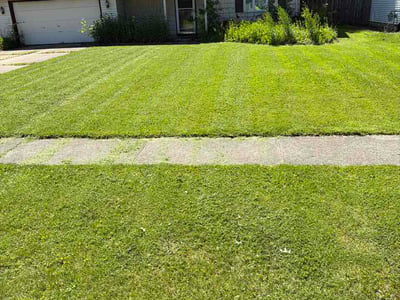 Lawn Care service in Lorain, 44052