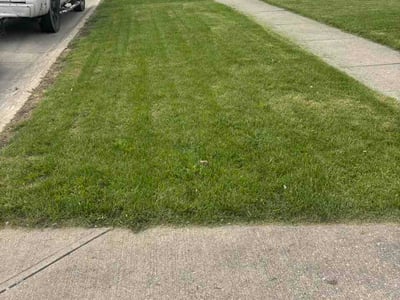 Lawn Care service in Lorain, 44052