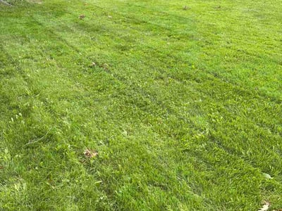 Lawn Care service in Rocky River, 44116