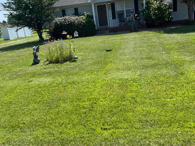 Lawn Care service in Mount Juliet, 37122