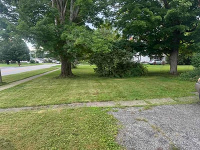 Lawn Care service in Brunswick, 44212