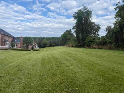 Lawn Care service in Lutherville Timonium, 21093