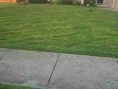 Lawn Care service in Antioch, 37013