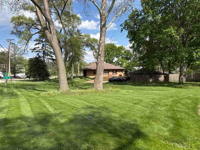 Lawn Care service in Westchester, 60154