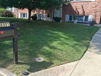 Lawn Care service in Temple Hills, 20748