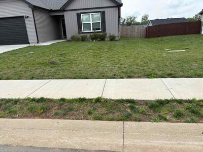 Lawn Care service in Lebanon, 37087