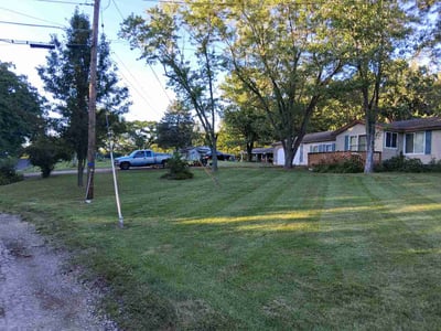 Lawn Care service in Fallbrook, 92028