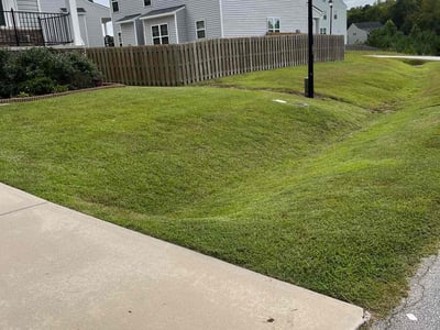 Lawn Care service in Garner, 27529