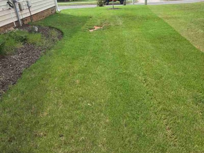 Lawn Care service in Garner, 27529