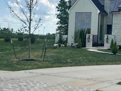 Lawn Care service in Brentwood, 37027