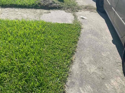 Lawn Care service in Breaux Bridge, 70517