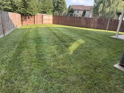 Lawn Care service in Brentwood, 37027