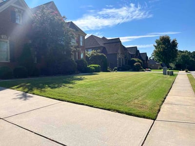 Lawn Care service in Carson, 90745