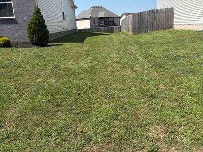 Lawn Care service in Ashland City, 37015