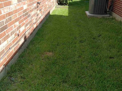 Lawn Care service in Spring Valley, 91977