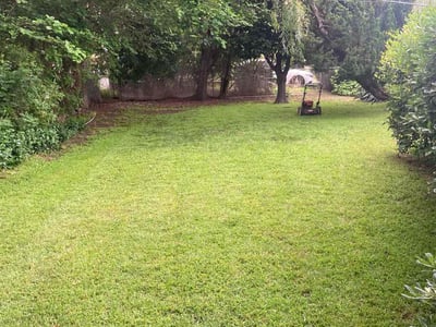 Lawn Care service in Carlsbad, 92008