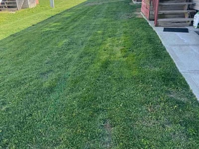 Lawn Care service in Batavia, 45103