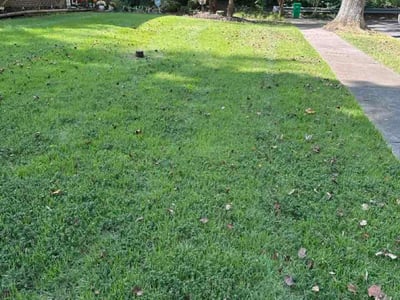 Lawn Care service in Upper Marlboro, 20772