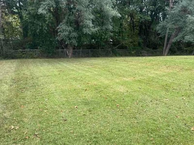 Lawn Care service in Upper Marlboro, 20772
