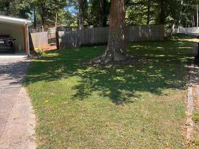 Lawn Care service in Carlsbad, 92008