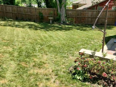 Lawn Care service in Mission Viejo, 92692