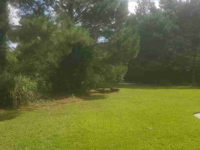 Lawn Care service in Loris, 29569
