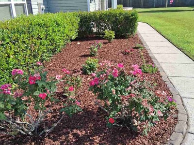 Lawn Care service in Ramona, 92065