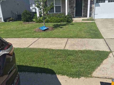 Lawn Care service in Zebulon, 27597