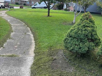 Lawn Care service in Danville, 24541